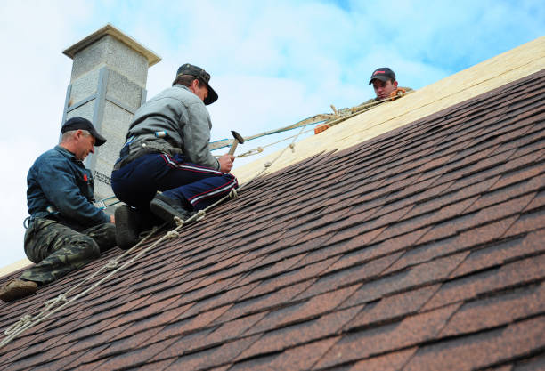 Best Shingle Roofing Installation  in Brooksville, MS